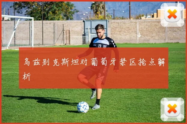 乌兹别克斯坦对葡萄牙禁区抢点解析
