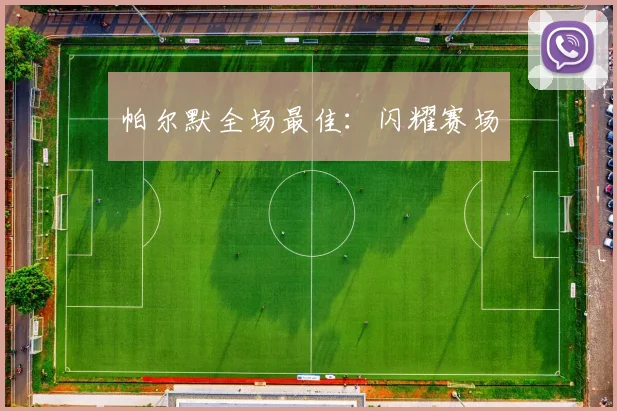 帕尔默全场最佳：闪耀赛场