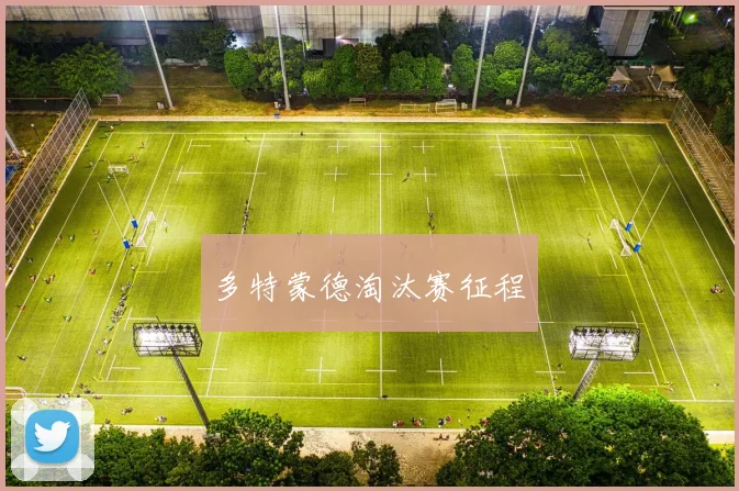 多特蒙德淘汰赛征程