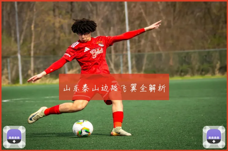 山东泰山边路飞翼全解析
