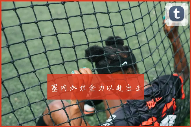 塞内加尔全力以赴出击