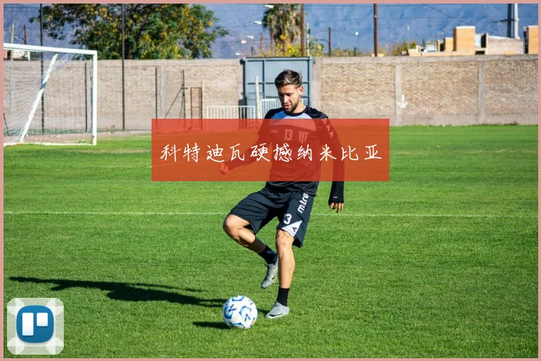 科特迪瓦硬撼纳米比亚