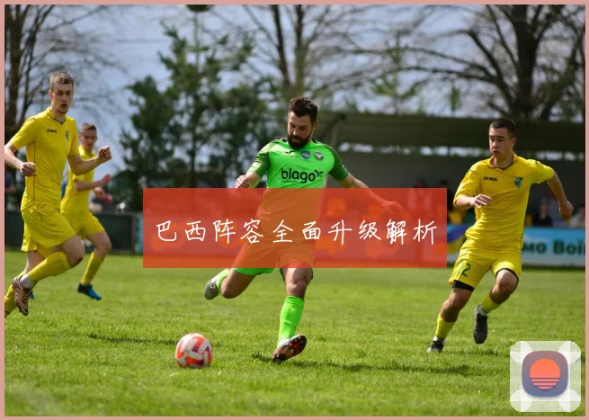 巴西阵容全面升级解析