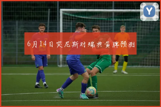 6月14日突尼斯对瑞典黄牌预测