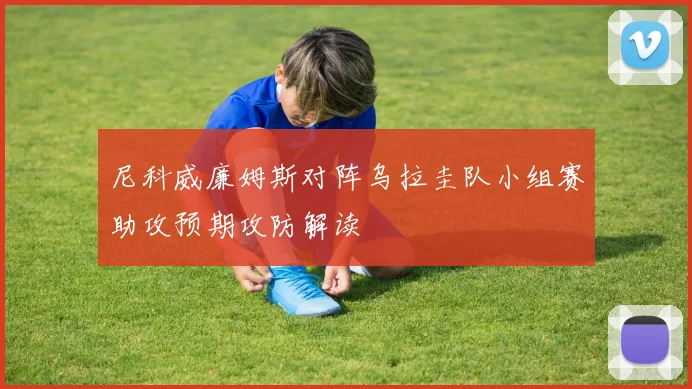 尼科威廉姆斯对阵乌拉圭队小组赛助攻预期攻防解读